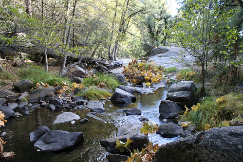 california autumn trees fall water rock creek landscape hiking sierra nationalforest simplysuperb