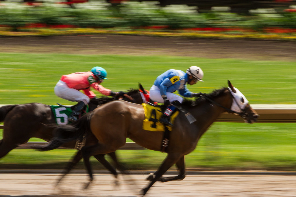 Horses racing at Finger Lakes Chris Brooks Flickr