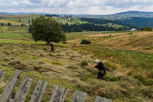 people digital landscape countryside romania clujcounty nikond800 sigma35mmf14art