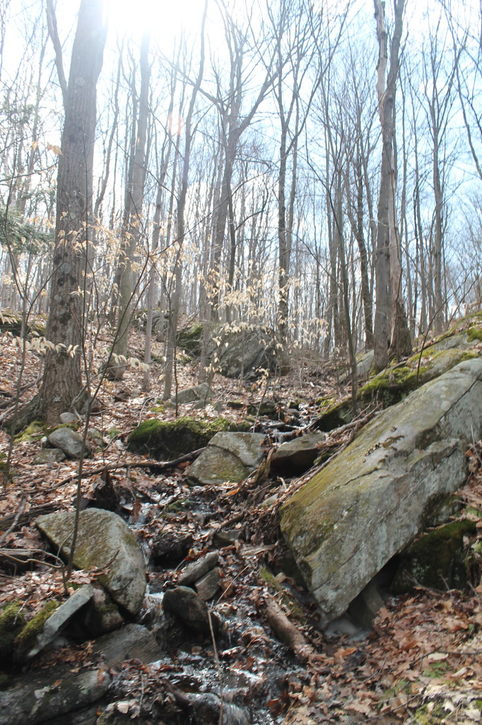 Old Moreau Overlook Trail