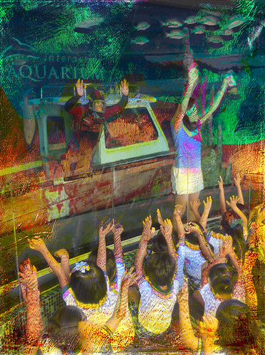 field trip to the aquarium | by MouradianR :)