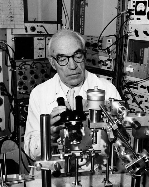 Sir John Carew Eccles using a microscope in a laboratory. Photographed in November 1963.