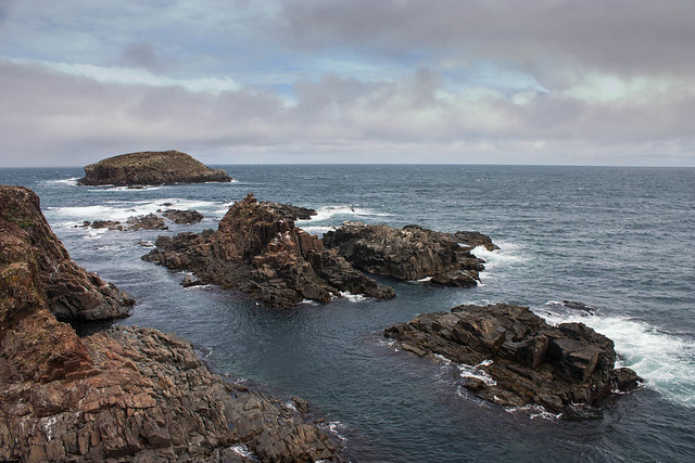 Looking out towards, North Bird Island, Newfoundland