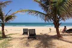 Palm lined beachfront at the Coco Ocean Hotel, The Gambia