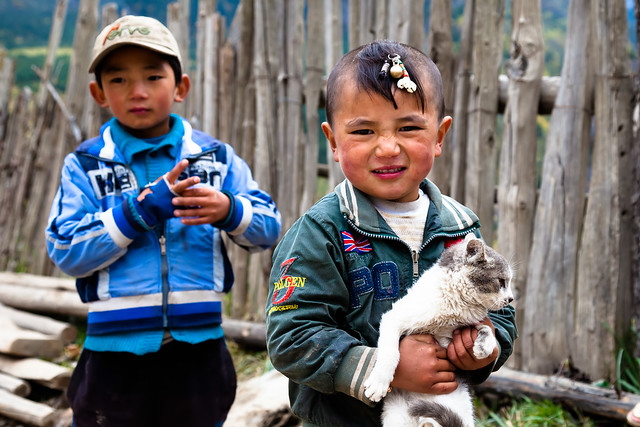 Picture of the Day #101 - Boy'n Cat