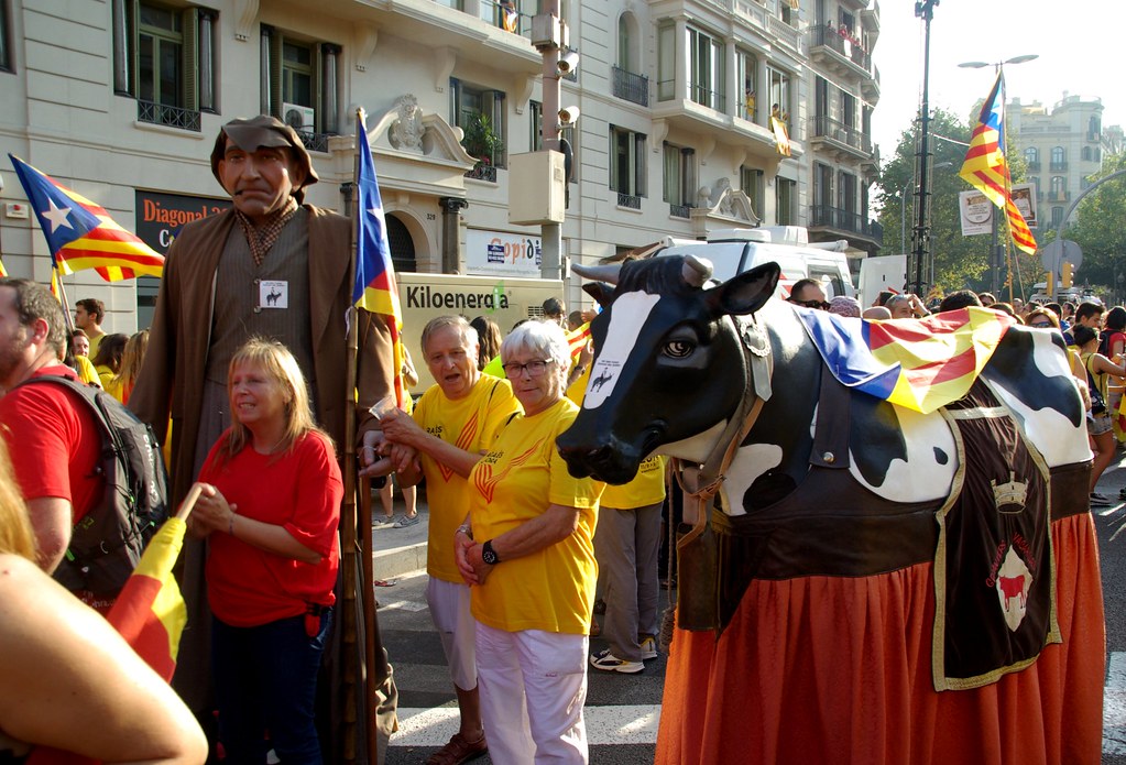 Aquest any també l'omplim de vaques. #11s2014: Barcelona, 11 de setembre de 2014