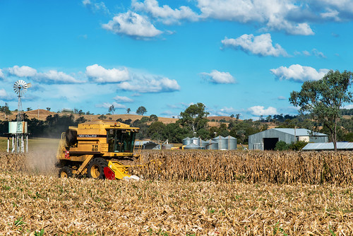 landscape corn harvest australia queensland harvester ruralscene mountwalker cornharvest nikond800