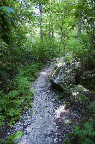 statepark usa nikon unitedstates florida hiking hike trail cave cavern marianna jacksoncounty floridacaverns d5000 fisherbray bluffshikingtrail