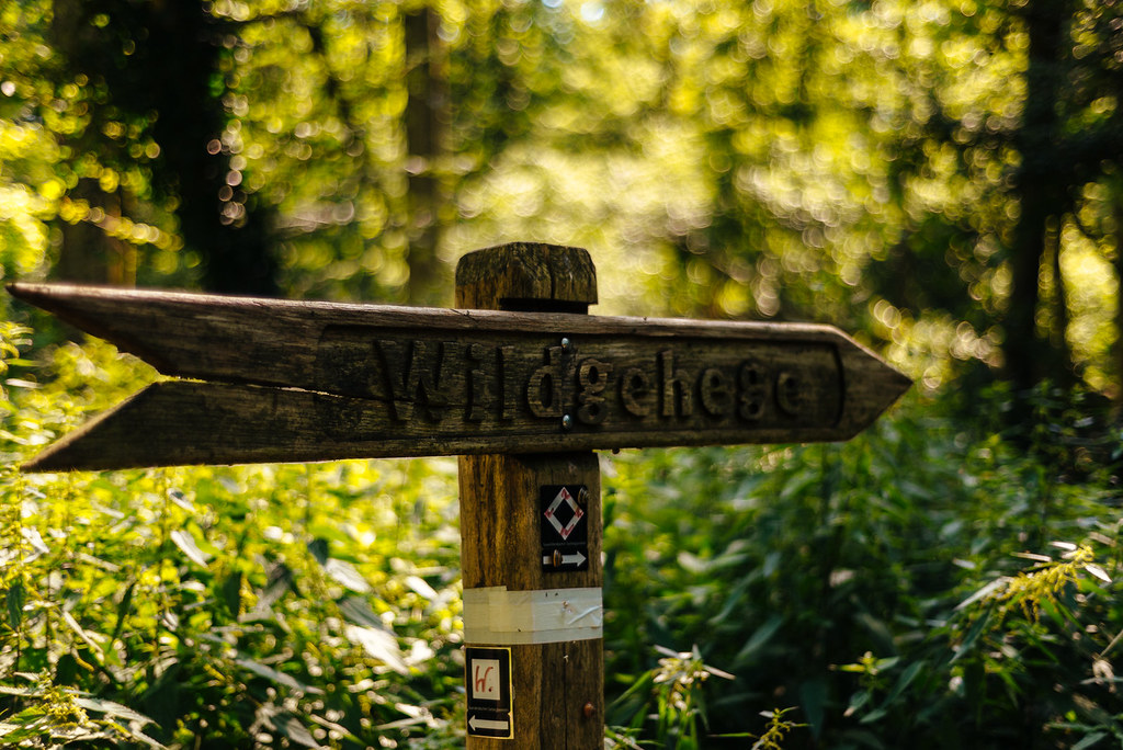 Weitmarer Holz