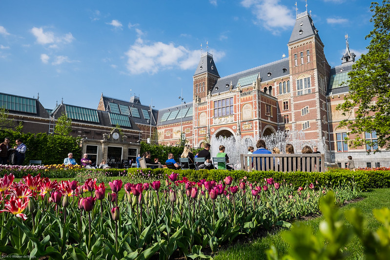 Tulips at the Rijksmuseum's garden