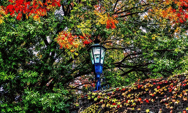 An Autumn Lantern