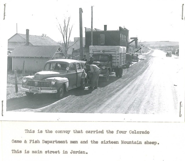 1947 - sheep transplant convoy