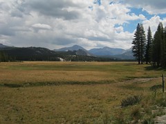 Tuolumne Meadow (Yosemite National Park) from west end - 8-11-2014 - Lembert Dome in center of image.  For a larger image LEFT CLICK on the image.