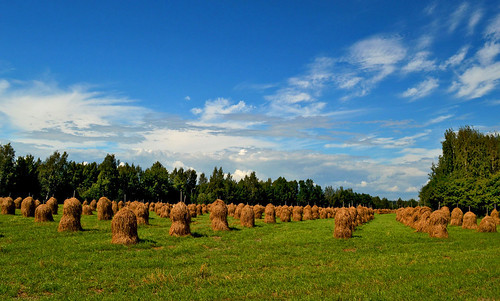 Heinät seipäällä / Country landscape | by L.Lahtinen (nature photography)