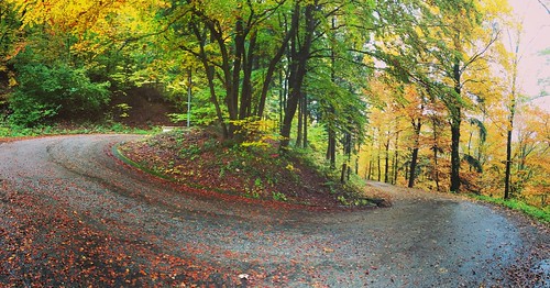 herbst autumn strasse street way weg alp oberbuchsiten kurve curve pano iphone nature