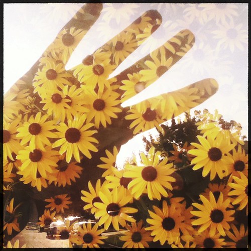 #doubleexposure  #hand #sunflowers #hipstamatic