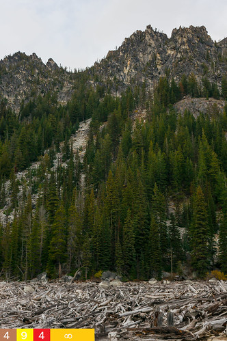 Protected Peace by Pacific NW / Nor Cal Surveyor, Photo of Upper Snow Lake and its log jam captured on the man-made bridge that separates Lower and Up