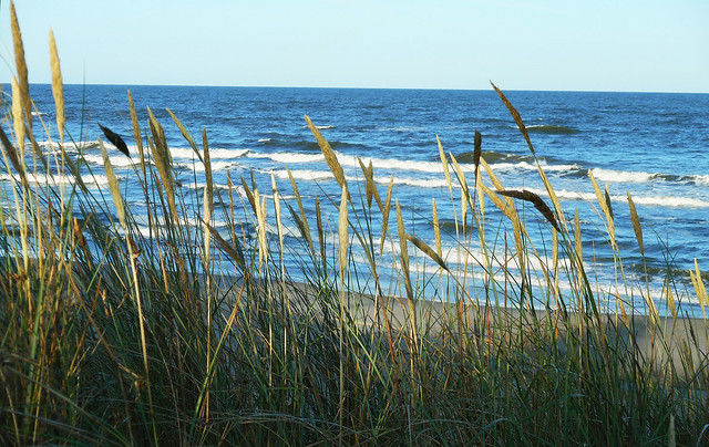 Baltic Sea Coast 07