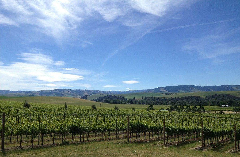 Walla Walla Vintners