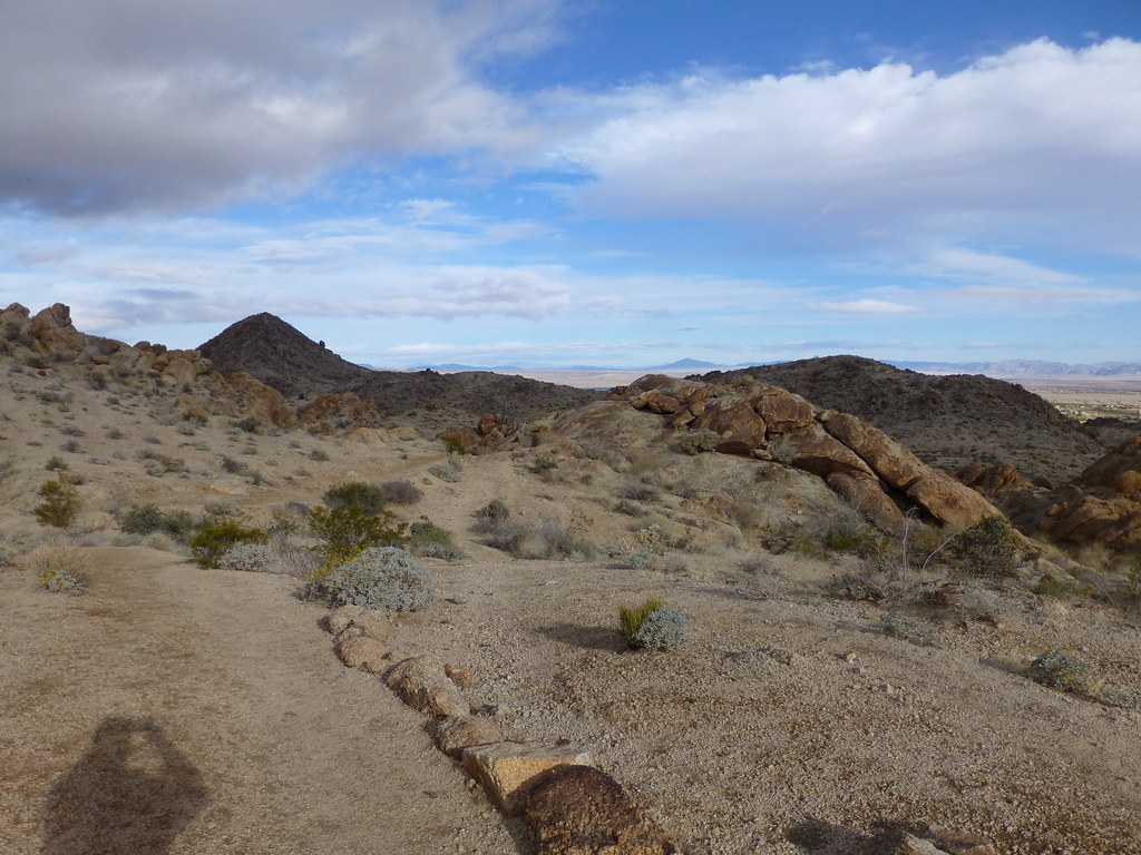 Fortynine Palms Trail