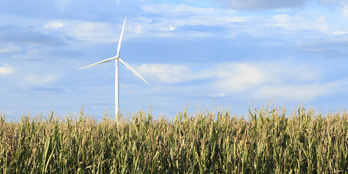 windmill rural corn cornfield bluesky iowa windfarm windpower cleanenergy