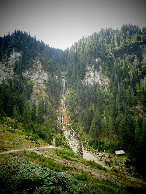 Parcul național-Munții Rodnei-horses waterfall