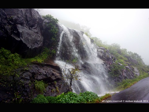 india tree waterfalls monsoon western greenery karnataka incredible ghats mangalore charmadi kalasa malenadu chikamagalur mudigere