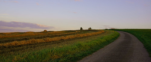 road sunset sky green grass evening farm sony farming kitlens fields luxembourg luxemburg 18mm nex lieler emount nex5r sonynex5r lewist584 1855mmf3556kitlensoss