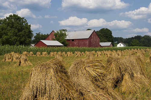 ohio field barn rural landscape geotagged nikon raw nef farm wheat country crop cs6 starkcountyohio nikongp1 nikkor24120f4vr