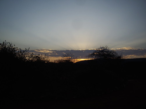 africa sun sunrise pentax kenya ken ke nakuru lakenakuru riftvalleyprovince lakenakurunationalpark nationalparkroad pentaxoptios10 pwpartlycloudy