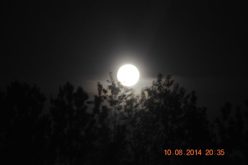 2014 August 10 Super Moon by King Kong 911, 2014 August 10 Super Moon sunset sky sun clouds geese supermoon