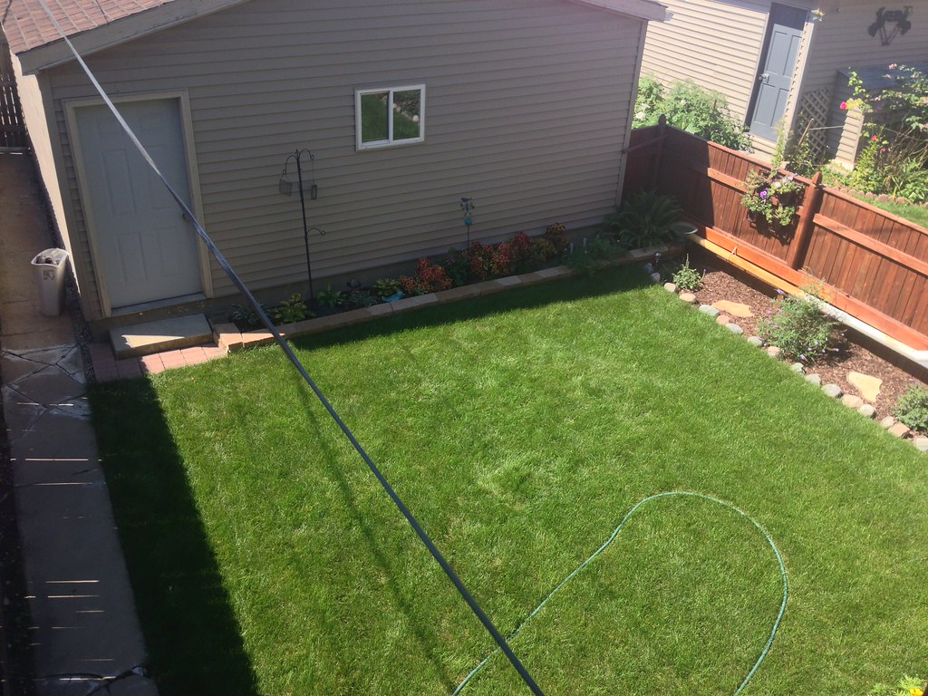 Small and neat grass garden