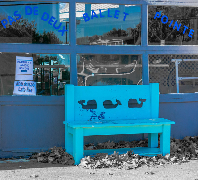A Whale Of A Blue Bench