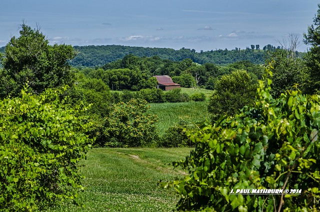 Tennessee Farm Land