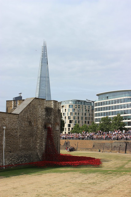 Blood poppies and the Shard.