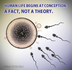 Human Life Begins at Conception