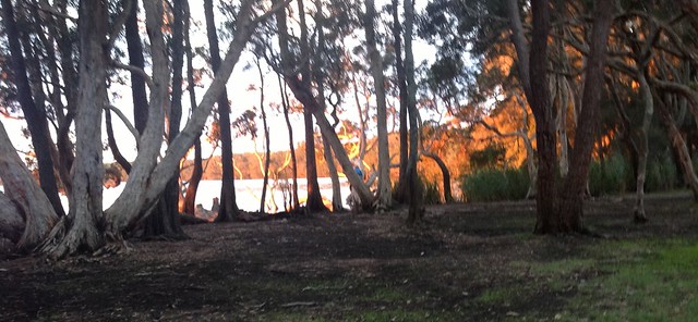 Some shots from our camp at Dees Corner on Myall lakes