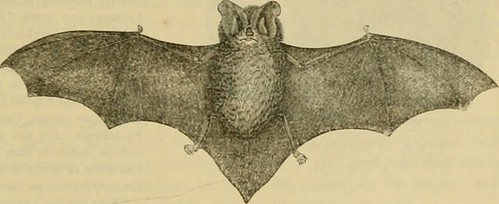 Paternoster