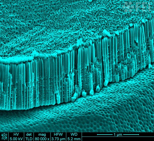 Titanium dioxide nanotubes | Nanotubes grown titanium dioxid… | Flickr