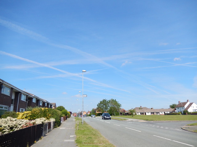 Contrails above Western Avenue