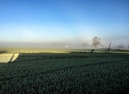 gladsax skã¥nelã¤n sverige se morgon sunrise dawn svensk sweden soluppgång dimmig dimma södra skåne southern foggy österlen fog fält morning field gryning