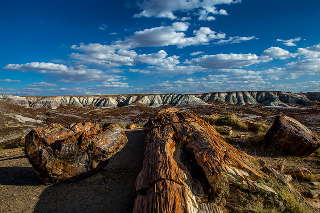 Petrified Forest National Park -0849