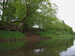 Musquodoboit River