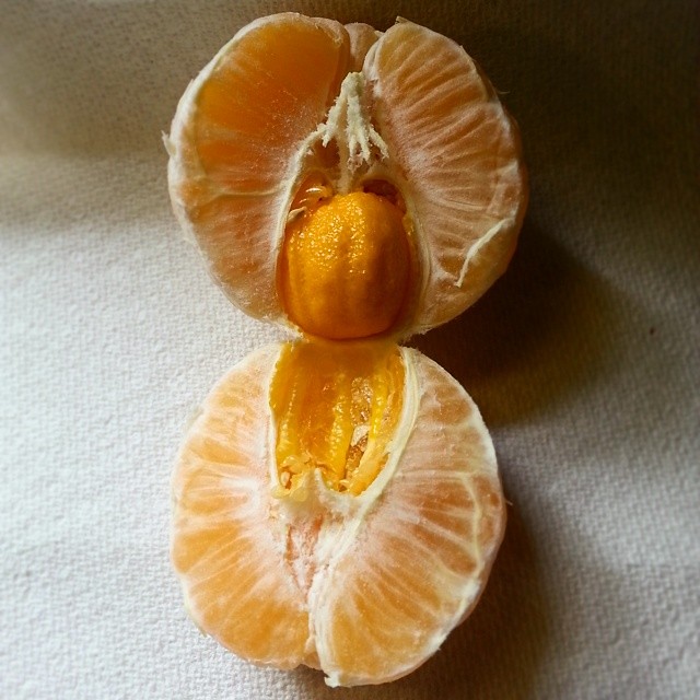 Baby orange
