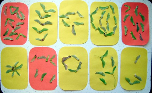 maple seed art | by Kleas'