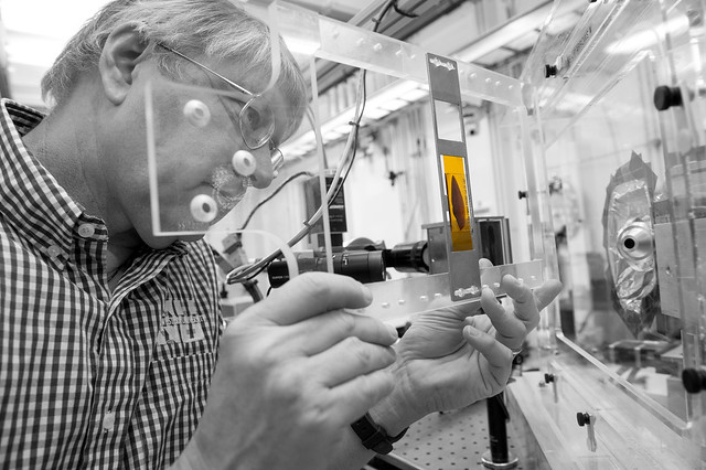 Stuart Stock loads a sample of a T. Rex tooth into the APS' X-ray detector (B&W)