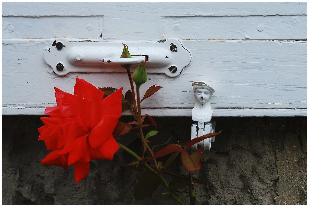 1 - Longpont Rue des Tourelles Fleurs Le petit homme et la rose
