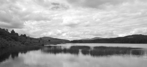 uk blackandwhite lake nature landscape mono scotland loch galloway stroan newgallowayforest gallowayforest d7000 stroanloch