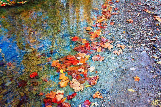 Autumn Creek at Hinckley Lake