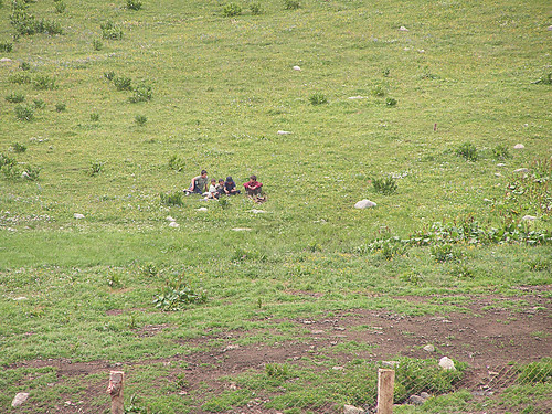 caucasus shepherds bakuriani republicofgeorgia geocode:accuracy=2000meters geocode:method=googleearth geo:country=republicofgeorgia azerbaijanishepherds